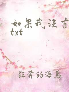 如果我没有爱过txt