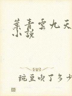 叶青云九天玄宗小说