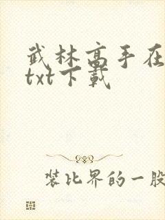 武林高手在校园txt下载