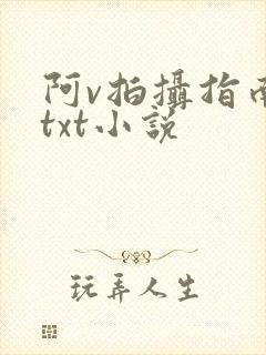 阿v拍摄指南说txt小说