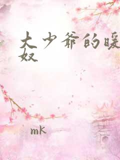 大少爷的暖床小奴