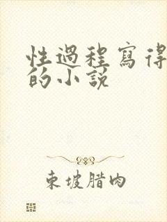 性过程写得详细的小说