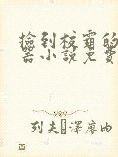 捡到校霸的遥控器小说免费阅读无弹窗