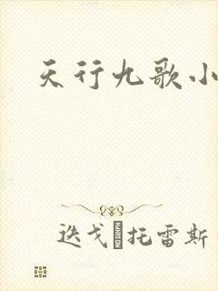 天行九歌小说