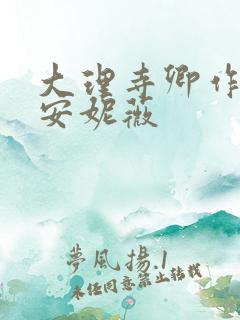 大理寺卿作者:安妮薇