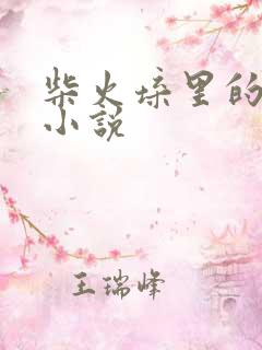 柴火垛里的疯狂小说