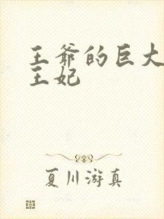 王爷的巨大进入王妃