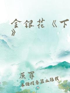 金银花《下厨房》