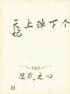 天上掉下个奇王妃