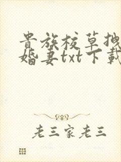 贵族校草拽拽未婚妻txt下载