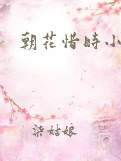 朝花惜时小说