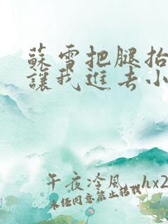 苏雪把腿抬起来让我进去小说