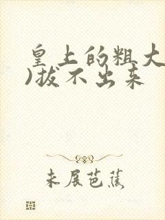 皇上的粗大(h)拔不出来