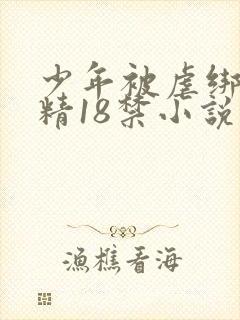 少年被虐绑着榨精18禁小说