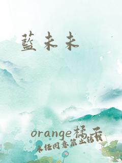 蓝未未