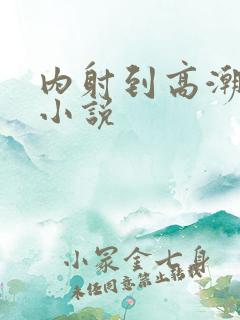 内射到高潮的H小说