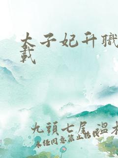 太子妃升职记下载