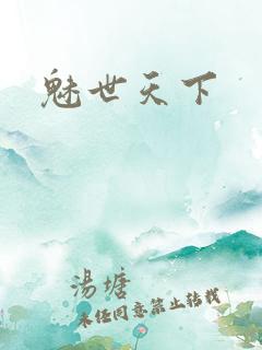 魅世天下