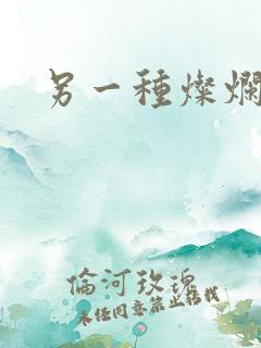 另一种灿烂生活