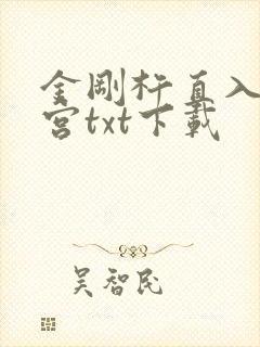 金刚杵直入莲花宫txt下载