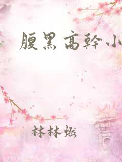 腹黑高干小说