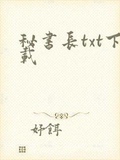 秘书长txt下载