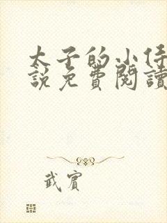 太子的小侍妾小说免费阅读全文