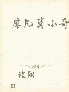 廖凡莫小奇