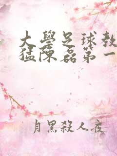 大学足球教练王猛陈磊第一篇