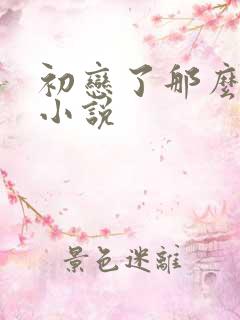 初恋了那么多年小说