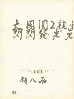 大团圆2亲情会闪闪发光免费