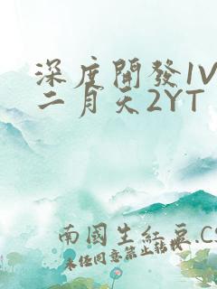 深度开发1V3二月天2YT