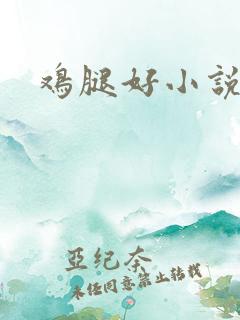 鸡腿好小说网