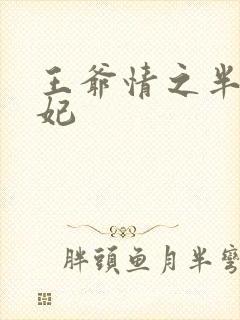 王爷情之半面王妃