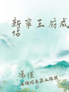 新宁王府成人网站