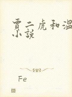 贾二虎和温如意小说