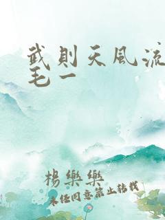 武则天风流艳情毛一