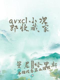 avxcl小次郎收藏家