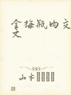 金梅瓶肉交白话文