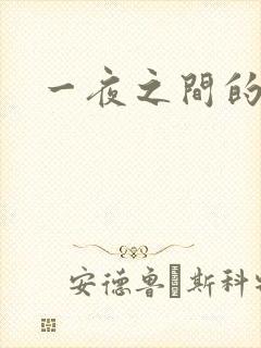 一夜之间的天才