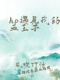 hp遇见我的混血王子