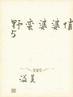 野蛮婆婆俏媳妇5