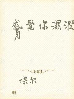 感觉你湿润我四月