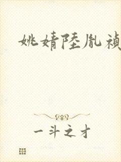 姚婧陆胤祯小说