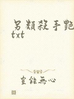 另类杀手艳福星txt