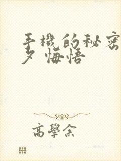 手机的秘密 七夕 悔悟