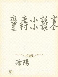 恋老小说言情网农村小说全文阅读