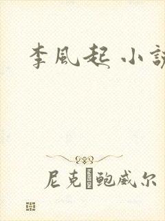 李风起 小说
