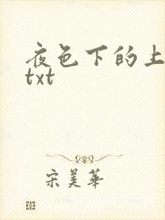 夜色下的上海滩txt