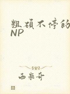 粗硕不停的进出NP